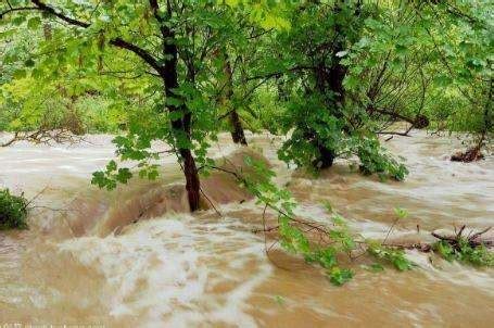 夢到水災幾號|夢見洪水、發大水